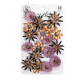 Bewitched - Flowers - Witch Hazel