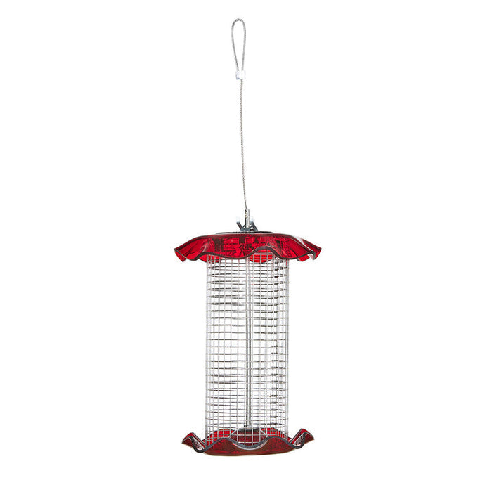 Birds Choice Small Sunflower Seed Forever Feeder with Stainless Steel Screen in Red