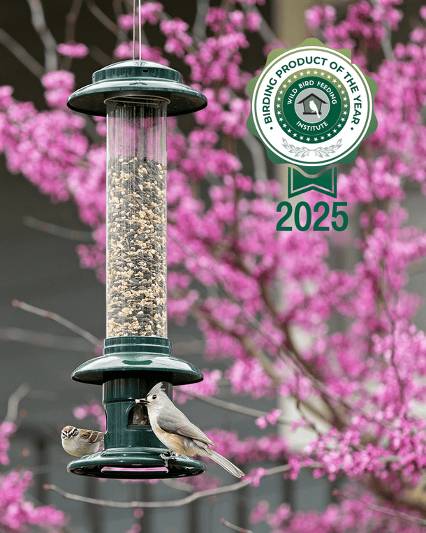 Brome Squirrel Buster Evolution