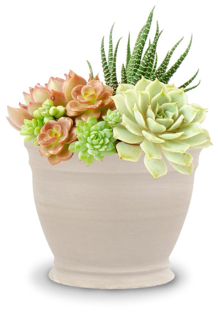Ceramo Company Inc  10.25" White Granite Clay Pot