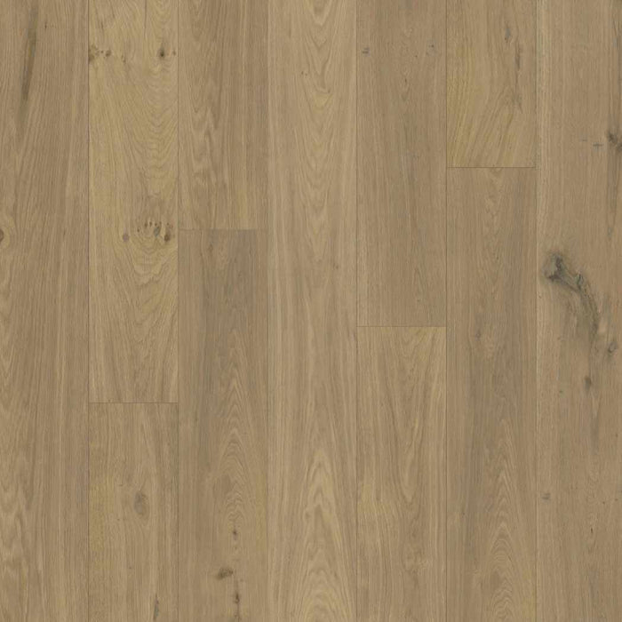 Chesapeake Engineered Hardwood Royal Chalet Gilded Wilderness CHEHENG4OAK03