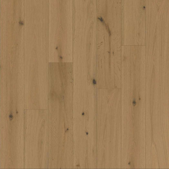 Chesapeake Engineered Hardwood Royal Chalet Queen's Retreat CHEHENG4OAK08
