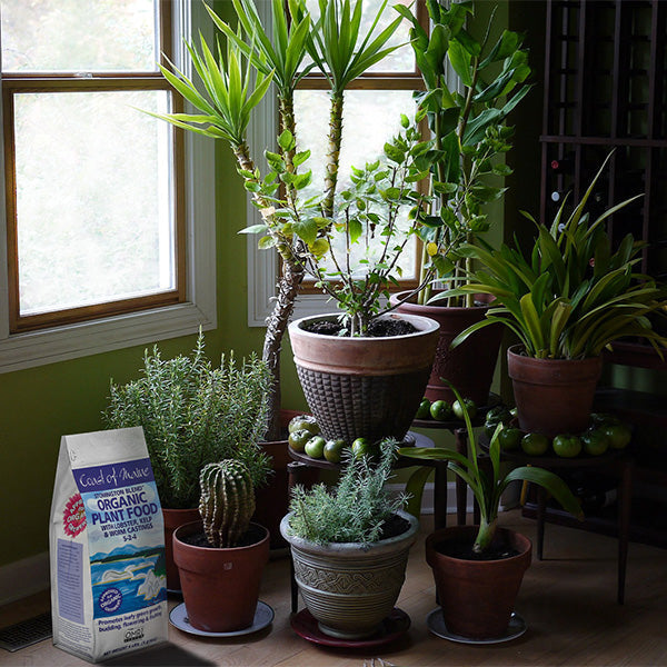 Coast of Maine Stonington Blend™ Organic Plant Food 5-2-4
