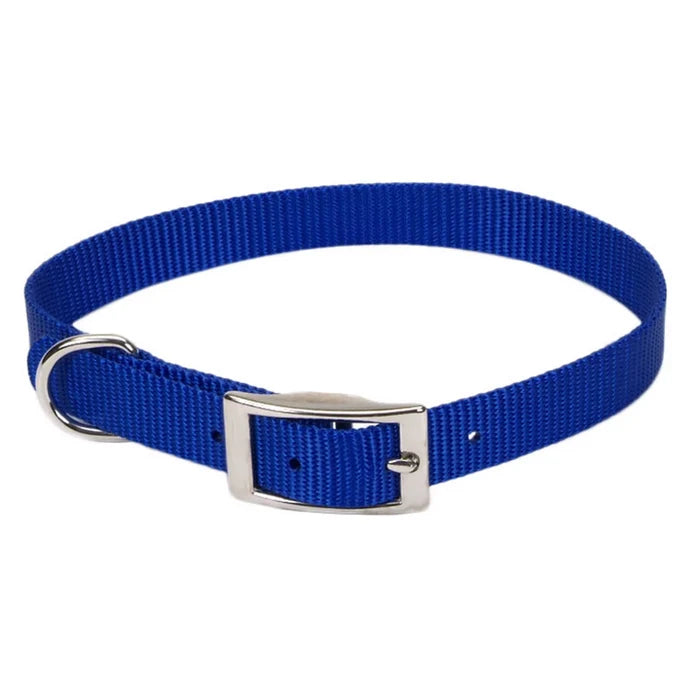 Coastal Pet Products Coastal Single-Ply Dog Collar - Personalized