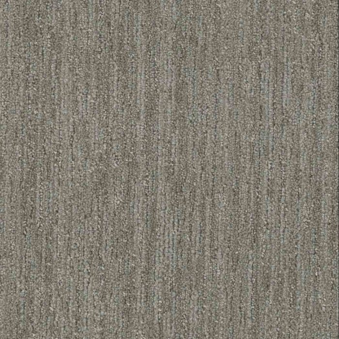 DreamWeaver Area Rugs Baja DR505 Barrel Cactus 2740