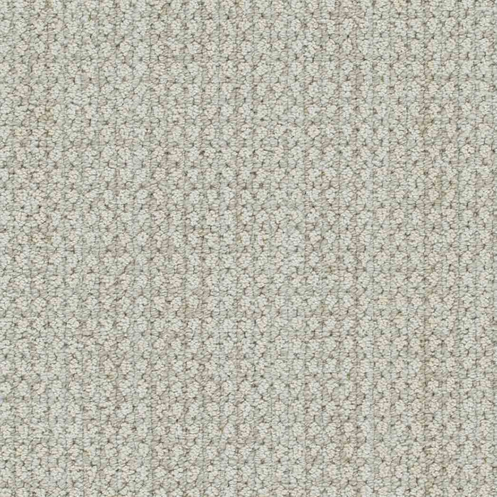 DreamWeaver Area Rugs Brunswick DR540 Alpaca 8196