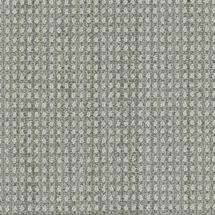 DreamWeaver Area Rugs Brunswick DR540 Desert Moon 8028