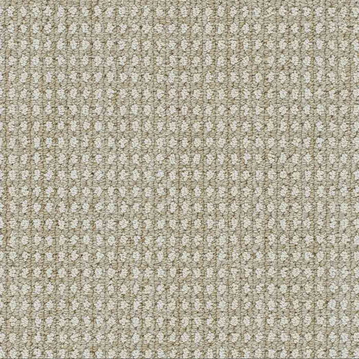 DreamWeaver Area Rugs Brunswick DR540 Natural Glow 8129