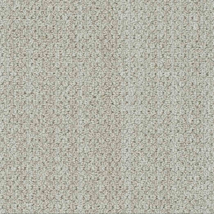 DreamWeaver Area Rugs Brunswick DR540 Organic 8141