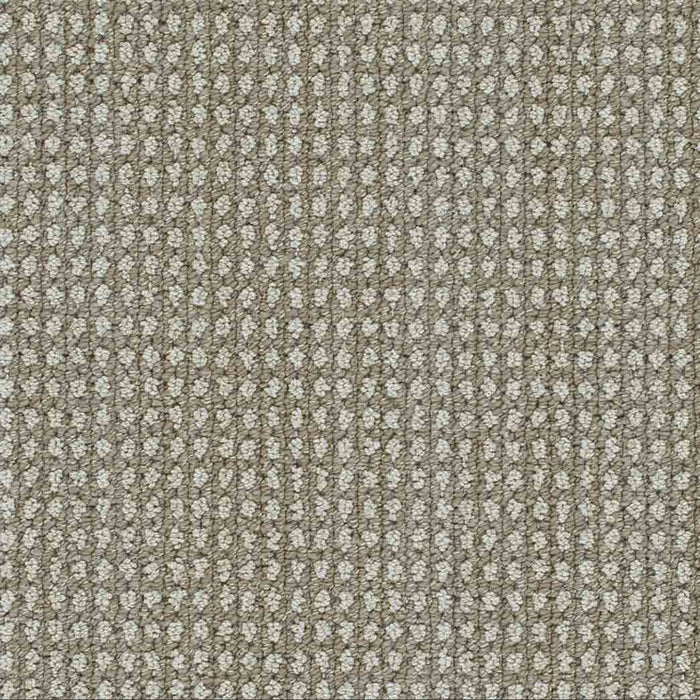 DreamWeaver Area Rugs Brunswick DR540 Shetland 8081