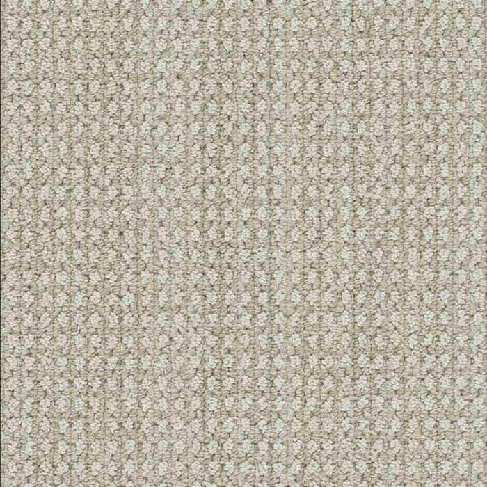 DreamWeaver Area Rugs Brunswick DR540 Shifting Sands 8060