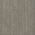 DreamWeaver Area Rugs Century DR458 In The Moment 2740