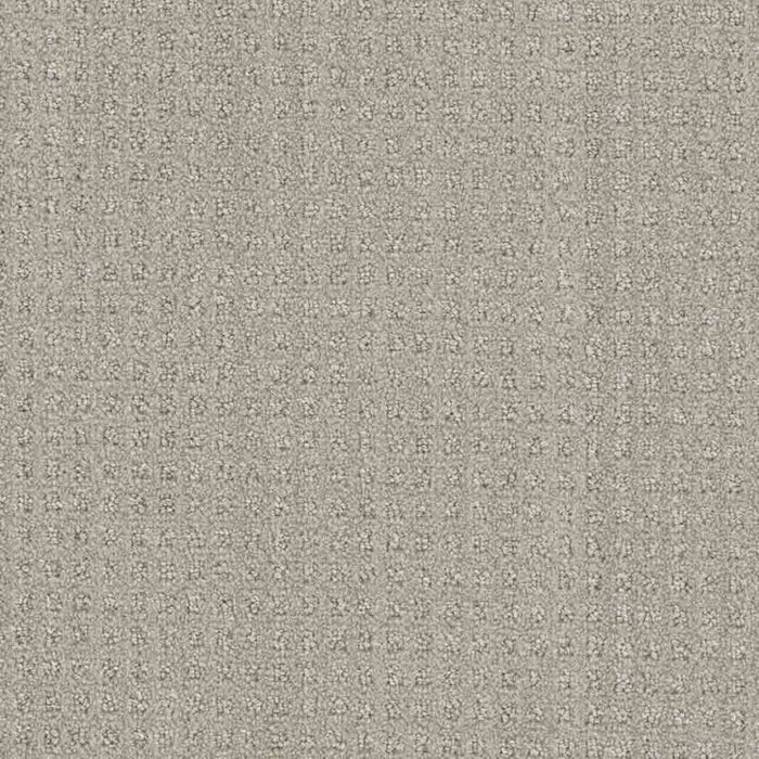 DreamWeaver Area Rugs Dublin DR450 Chevoit 3912