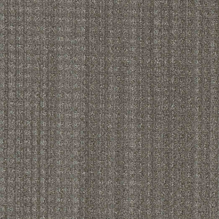 DreamWeaver Area Rugs Dublin DR450 Donegal 2738