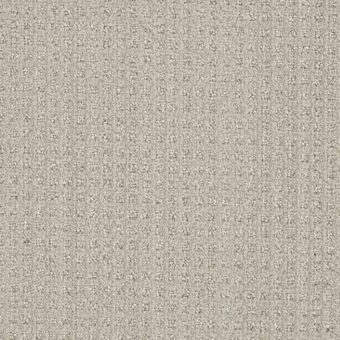 DreamWeaver Area Rugs Dublin DR450 Merino 2703