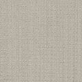 DreamWeaver Area Rugs Dublin DR450 Stone Spinning 3927