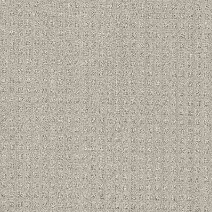 DreamWeaver Area Rugs Dublin DR450 Stone Spinning 3927