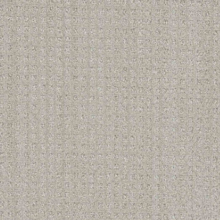 DreamWeaver Area Rugs Dublin DR450 Tweel 3915
