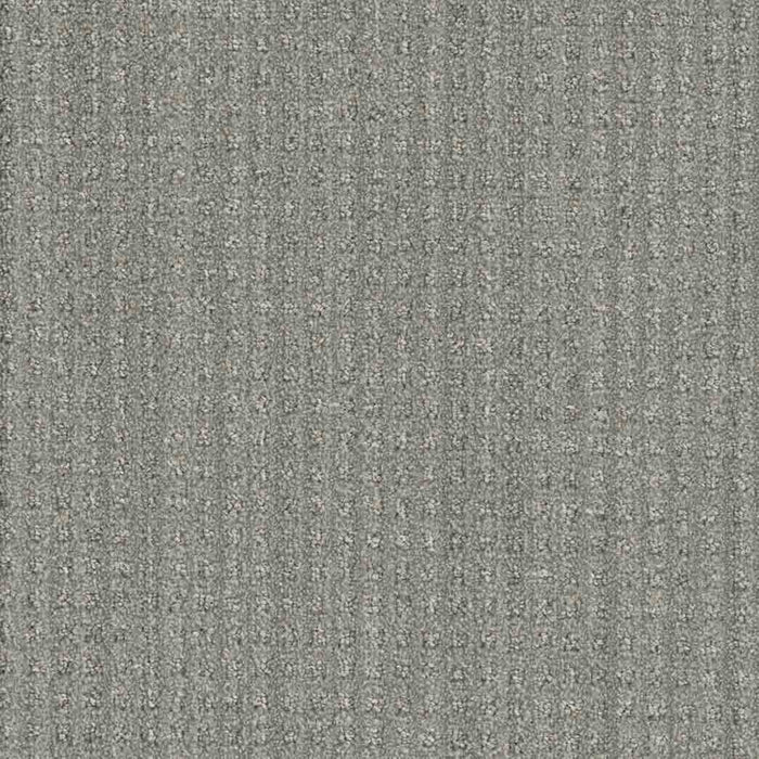 DreamWeaver Area Rugs Dublin DR450 Warp & Weft 2742