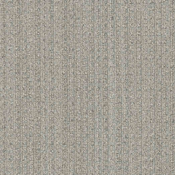 DreamWeaver Area Rugs Dublin DR450 Woolery 2702