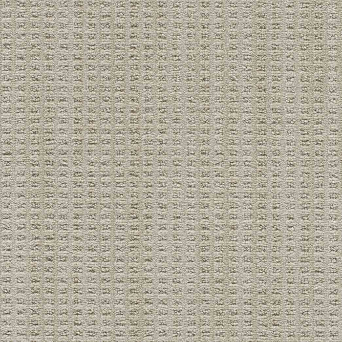 DreamWeaver Area Rugs Dublin II DR450 Deerpark 8278