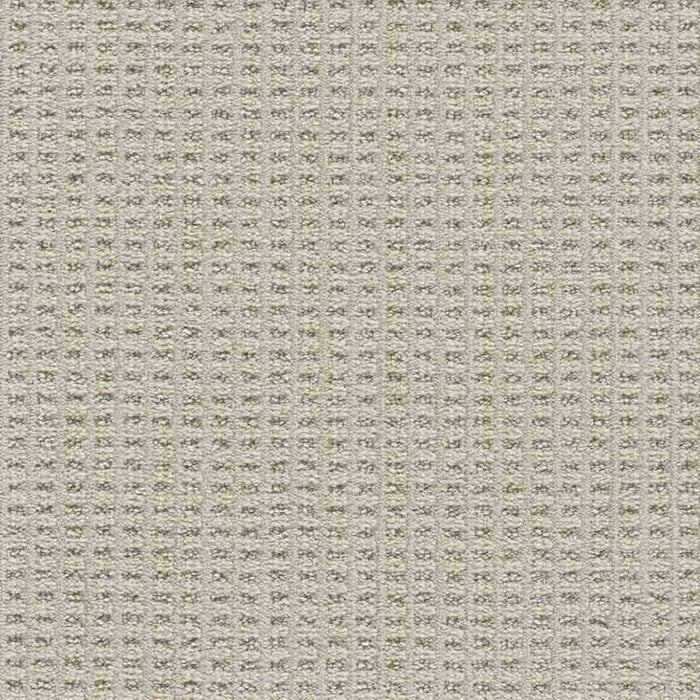 DreamWeaver Area Rugs Dublin II DR450 Dundrum 8187