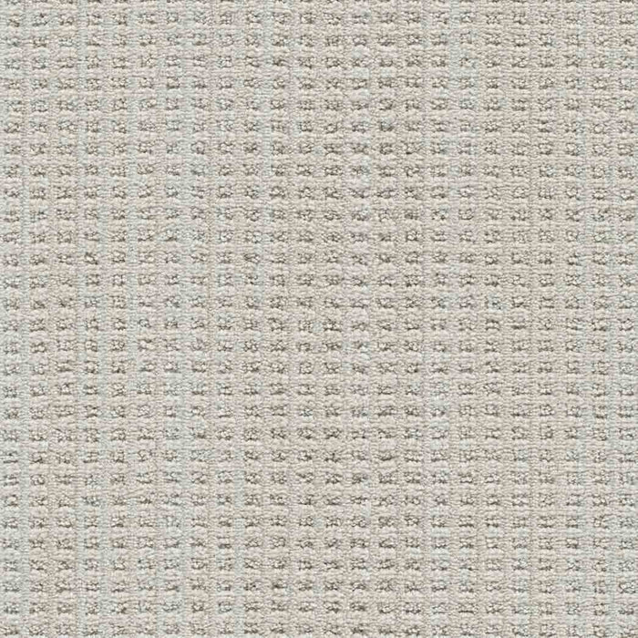 DreamWeaver Area Rugs Dublin II DR450 Merino 2703