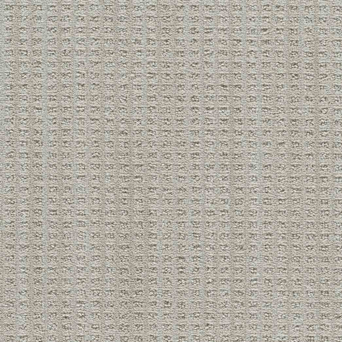 DreamWeaver Area Rugs Dublin II DR450 Tweel 3915