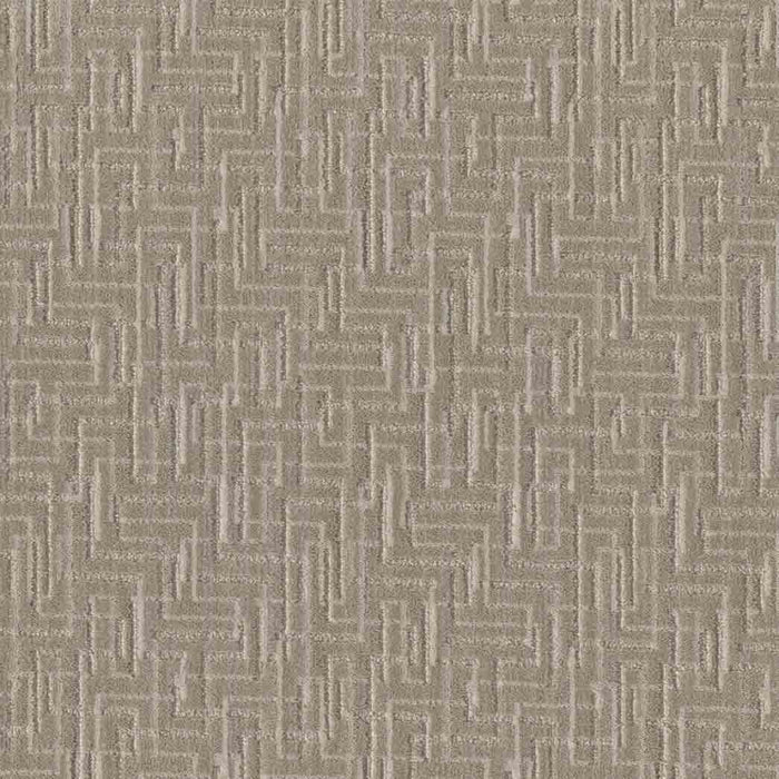 DreamWeaver Area Rugs Manuscript DR805 Columbia 8000