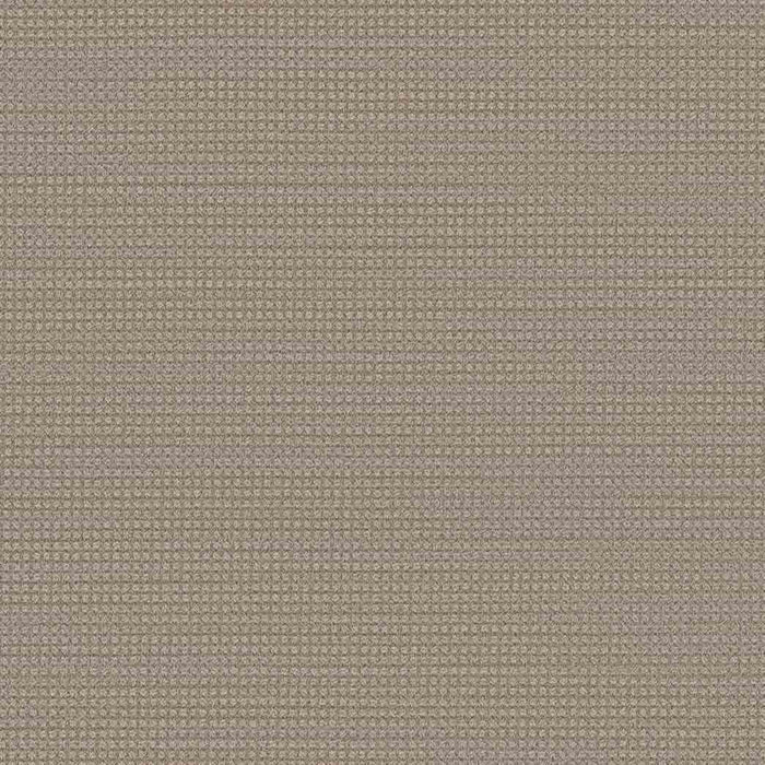 DreamWeaver Area Rugs Montreal DR442 Elk Point 8574