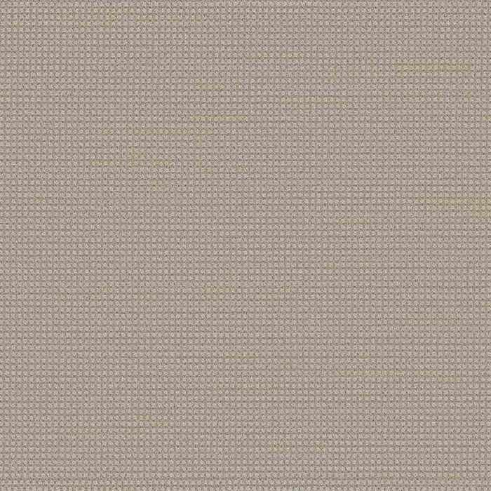DreamWeaver Area Rugs Montreal DR442 Lion's Bay 8454