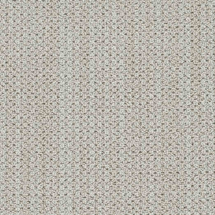 DreamWeaver Area Rugs Montreal II DR442 Cabra 8043