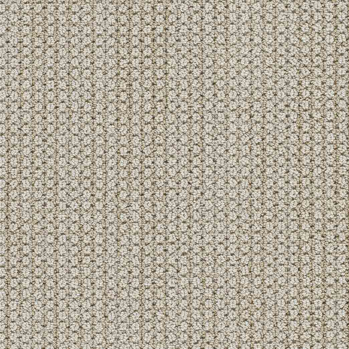 DreamWeaver Area Rugs Montreal II DR442 La Casa 8211