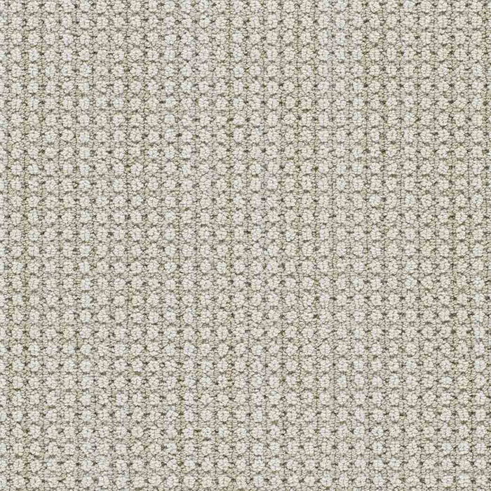 DreamWeaver Area Rugs Montreal II DR442 Lion's Bay 8454