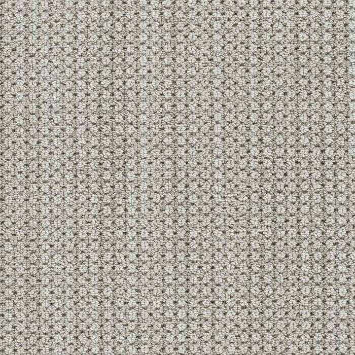 DreamWeaver Area Rugs Montreal II DR442 Shellbrook 8580