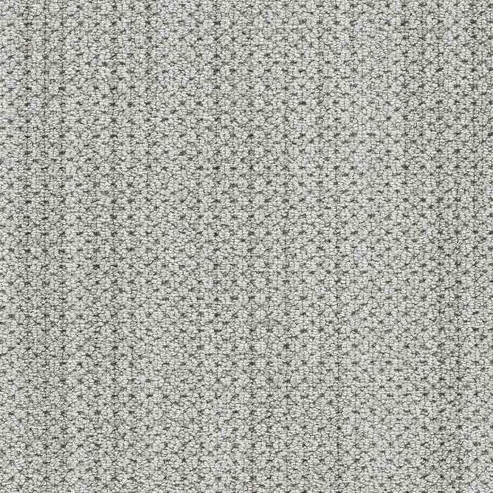 DreamWeaver Area Rugs Montreal II DR442 Tralee 8042