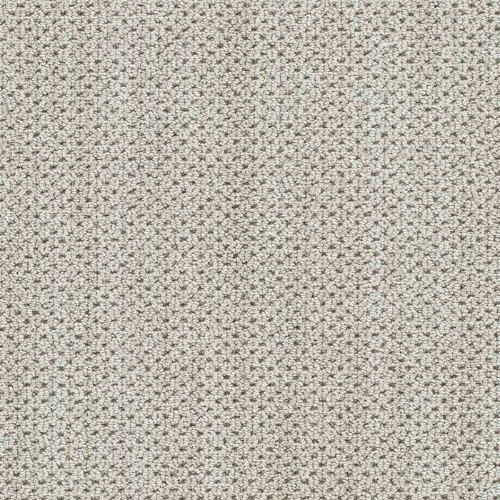 DreamWeaver Area Rugs Montreal II DR442 Via Bella 8115
