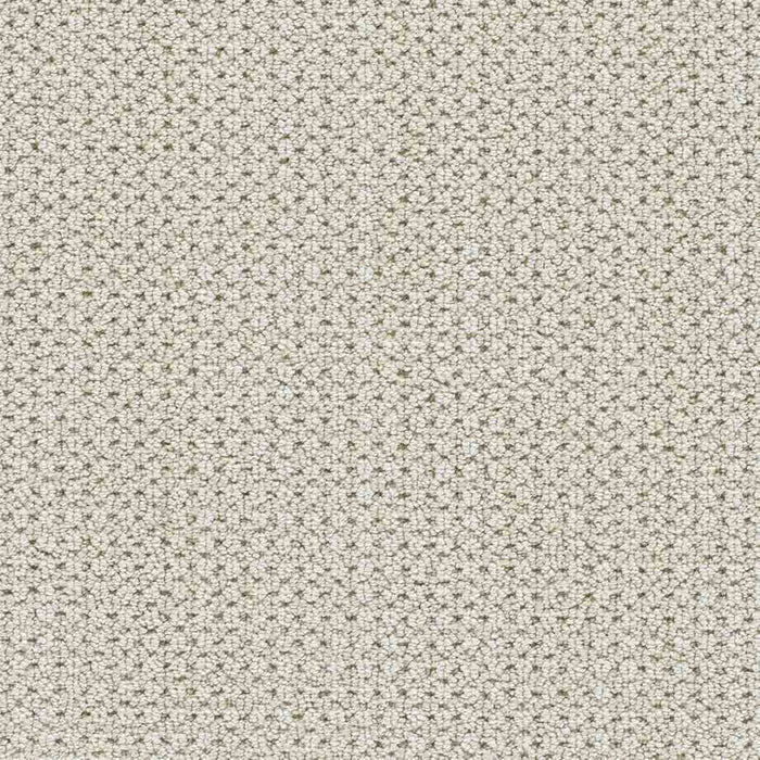 DreamWeaver Area Rugs Montreal II DR442 Watch Tower 8287
