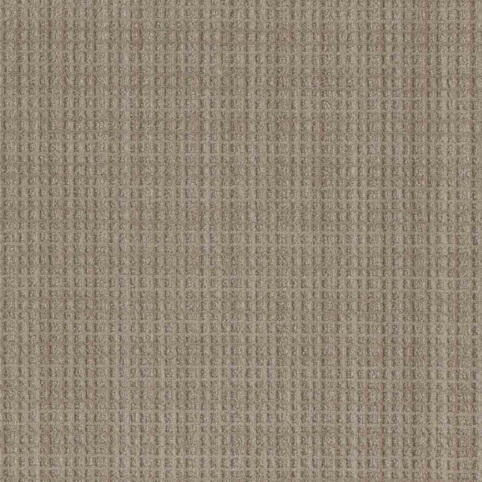 DreamWeaver Area Rugs Suffolk DR810 Franklin 8106