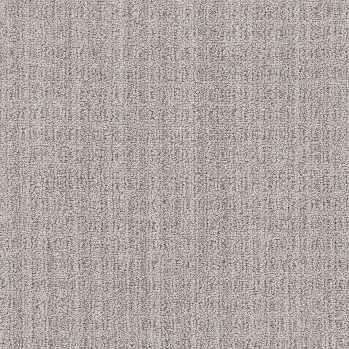 DreamWeaver Area Rugs Windsor DR460 Catalyst 8208