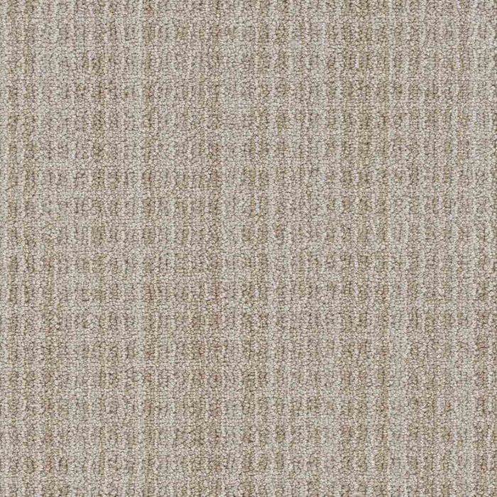 DreamWeaver Area Rugs Windsor DR460 Sandymount 8073