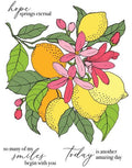 Fruit Tree - Clear Stamps