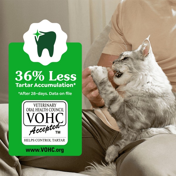 Greenies Feline Dental Catnip Flavor Cat Treats