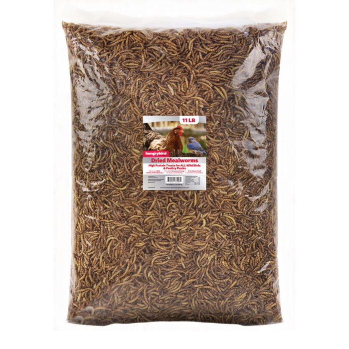 Hungrybird Dried Mealworms High Protein Poultry Treats for All Wild Birds & Chicken Flocks