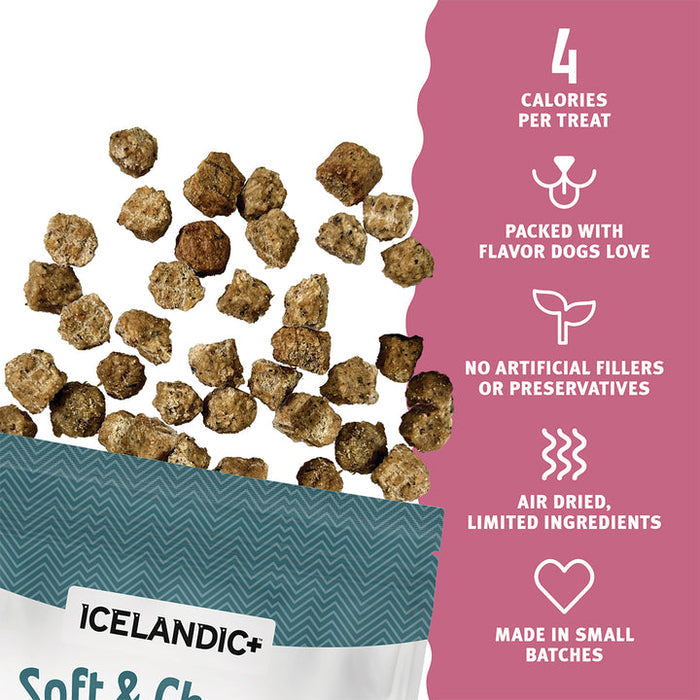 Icelandic+ Beef, Plum & Kelp Recipe Soft & Chewy Bites for Dogs