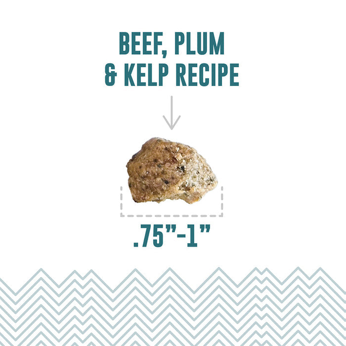 Icelandic+ Beef, Plum & Kelp Recipe Soft & Chewy Bites for Dogs