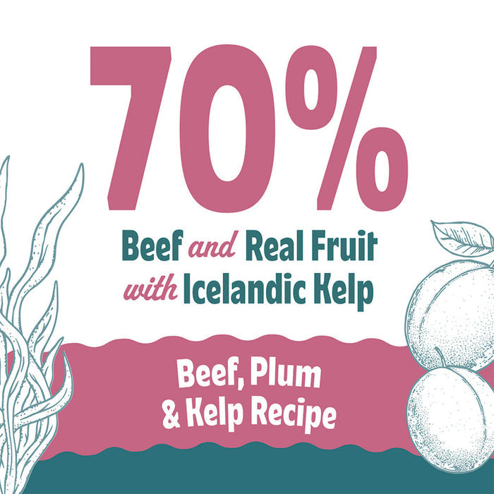 Icelandic+ Beef, Plum & Kelp Recipe Soft & Chewy Bites for Dogs