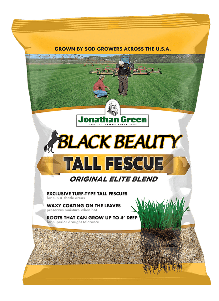Jonathan Green Black Beauty® Original Tall Fescue Blend