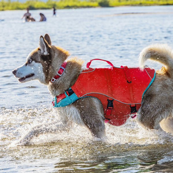 Kurgo Surf N Turf Dog Life Jacket