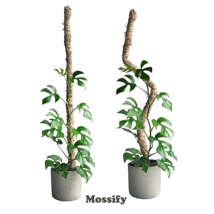 Mossify The Original Bendable Moss Pole™